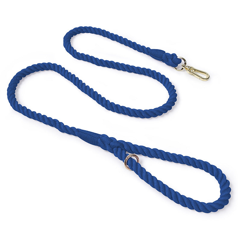 Woven Pet Dog Leash and Collar with Gold Accessories