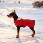 Pet Winter Vest Jacket