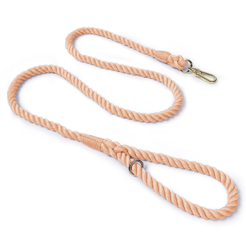 Woven Pet Dog Leash and Collar with Gold Accessories