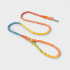 Woven Pet Dog Leash and Collar with Gold Accessories