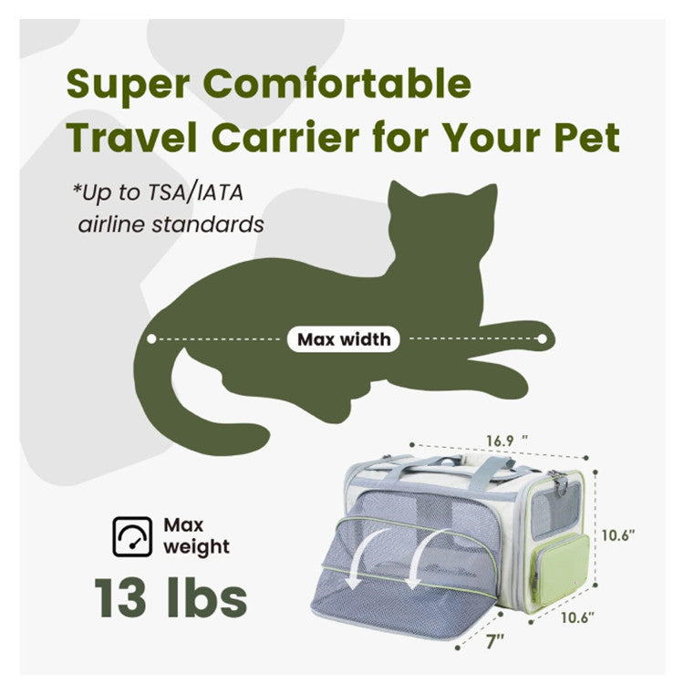 Pet Travel Backpack
