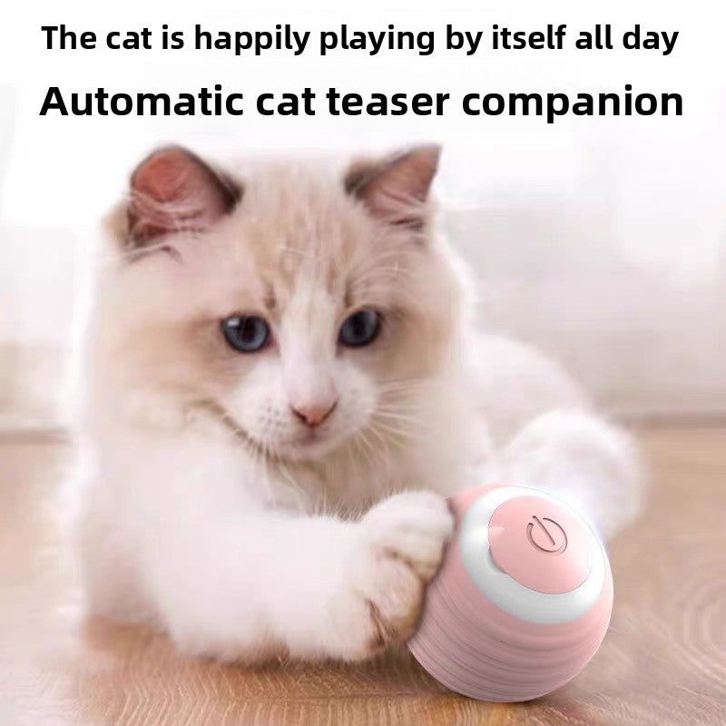 Automatic cat teaser ball
