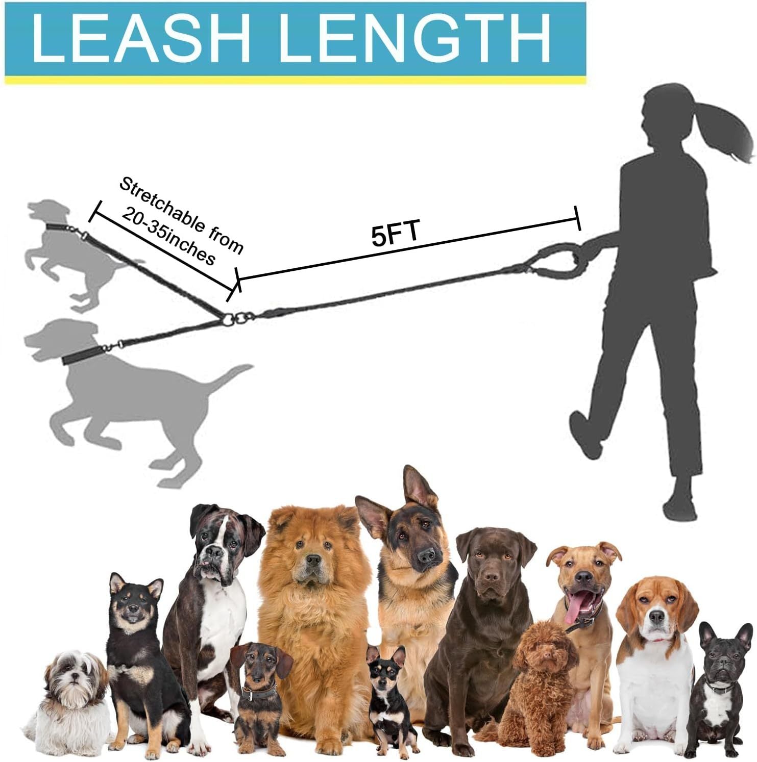 One-to-three pet leash