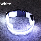 USB Rechargeable LED Reflective Dog Collar