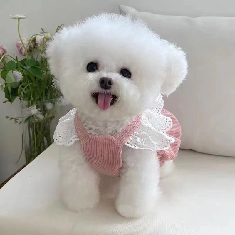 Corduroy Pumpkin Skirt Pet Dress with Bow