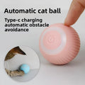 Automatic cat teaser ball