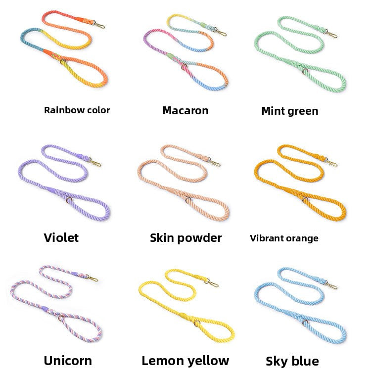 Woven Pet Dog Leash and Collar with Gold Accessories