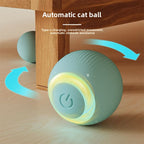 Automatic cat teaser ball