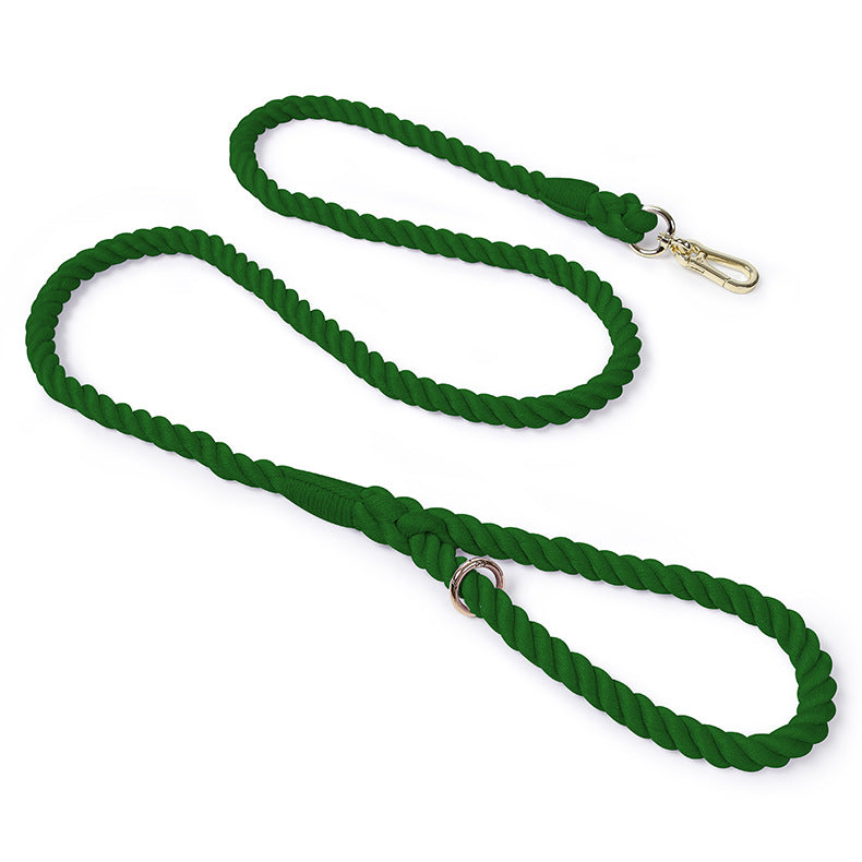 Woven Pet Dog Leash and Collar with Gold Accessories