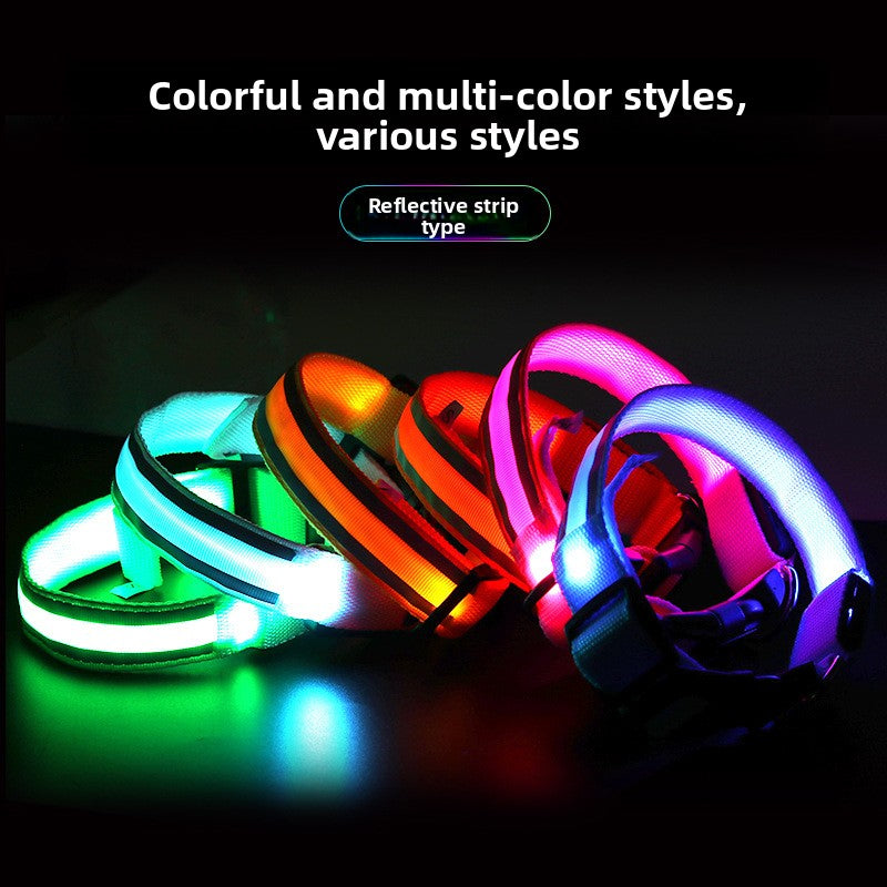 USB Rechargeable LED Reflective Dog Collar
