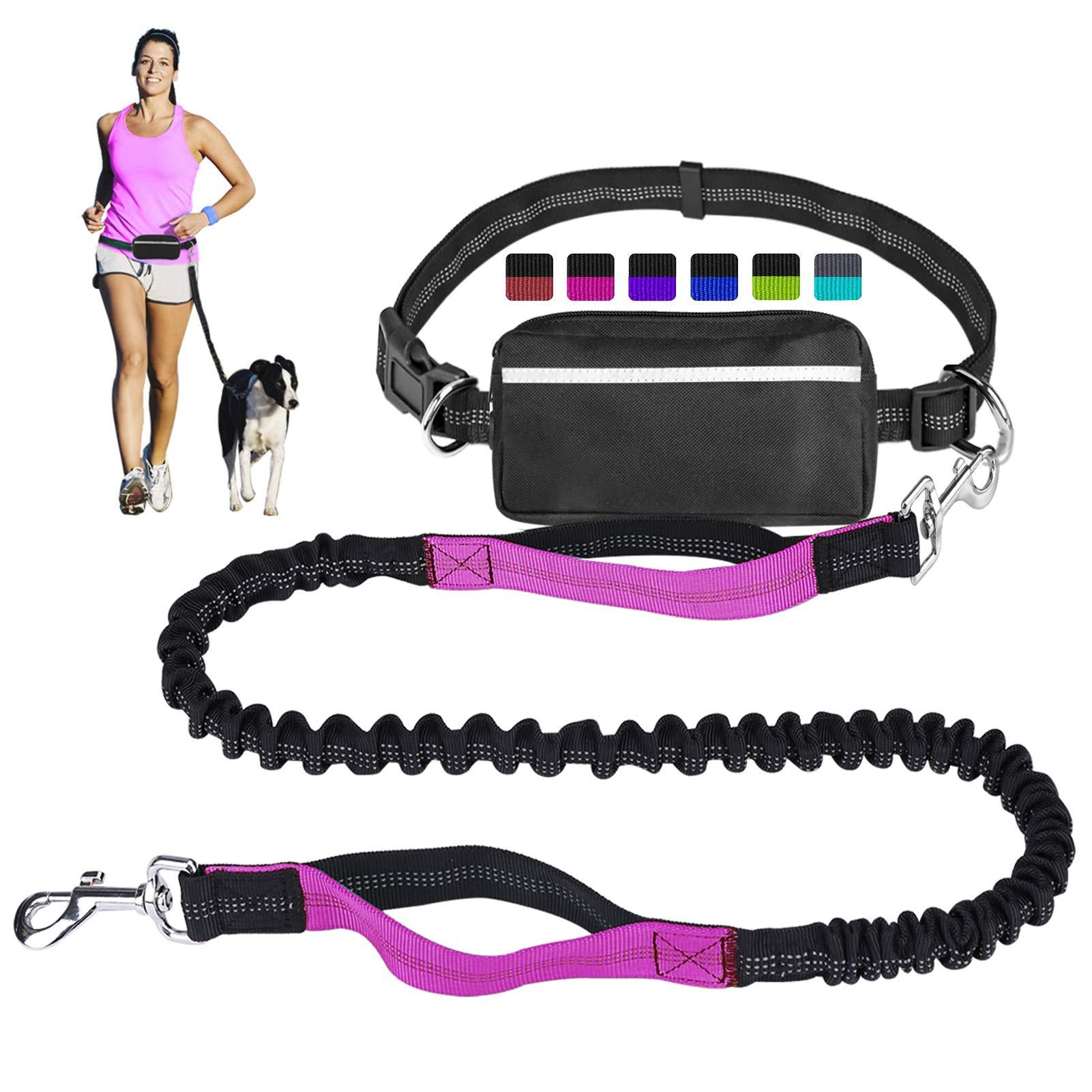 Hands-Free Adjustable Dog Leash with Zipper Pouch