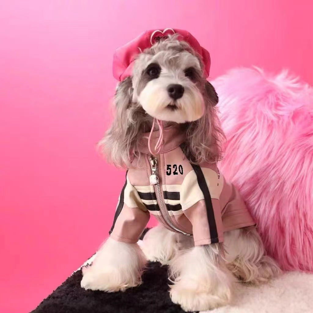 Dog Jacket for Autumn and Winter