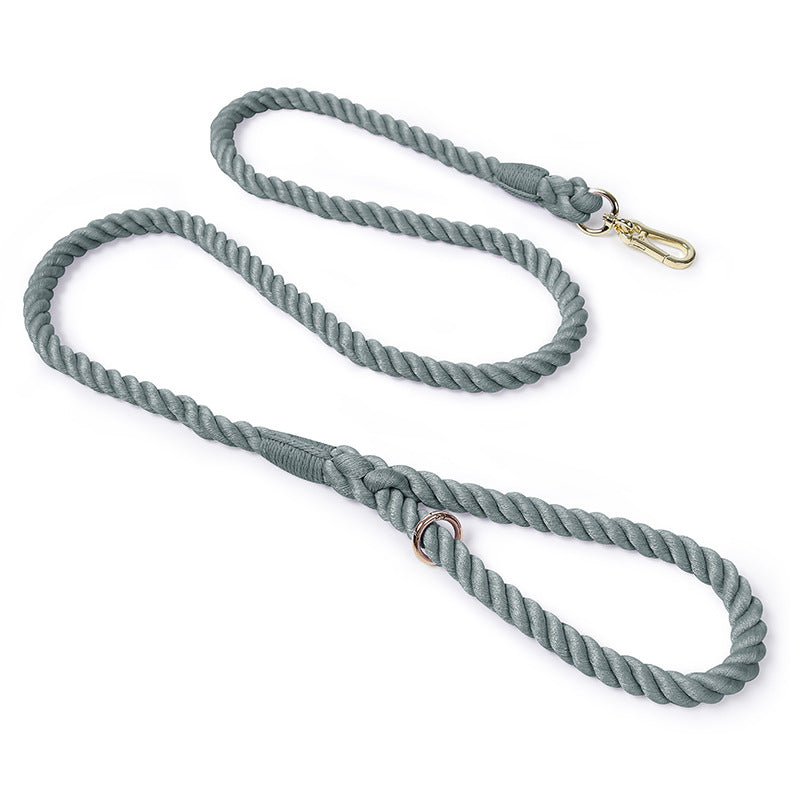 Woven Pet Dog Leash and Collar with Gold Accessories