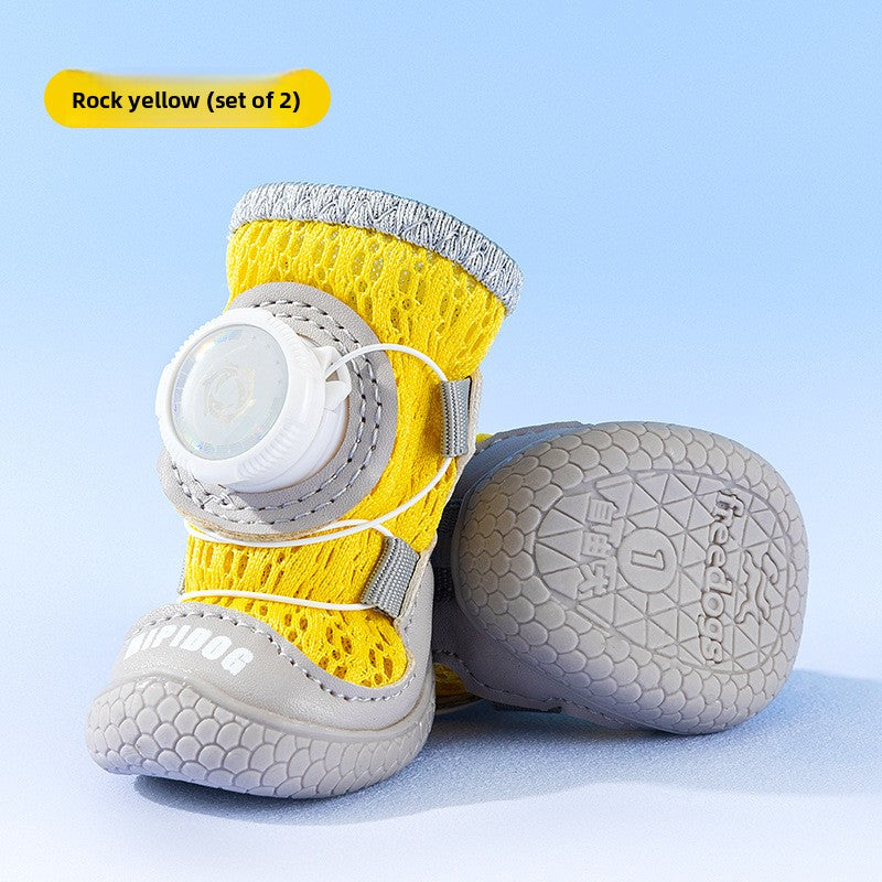 pet shoes