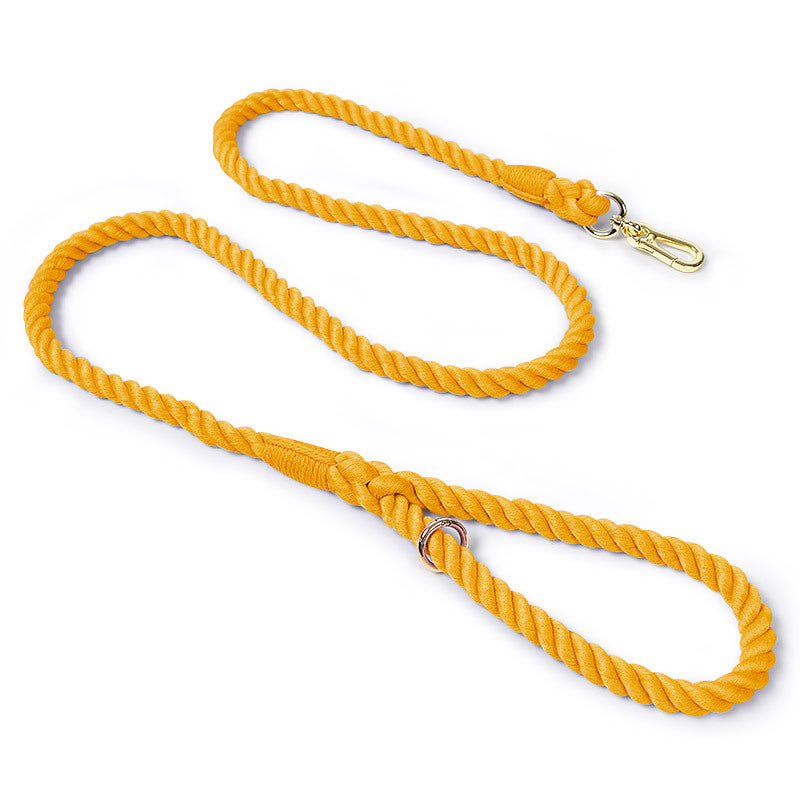 Woven Pet Dog Leash and Collar with Gold Accessories