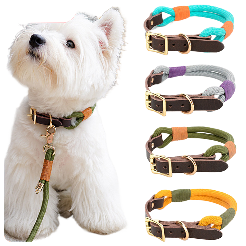 Adjustable Pet Leash and Collar
