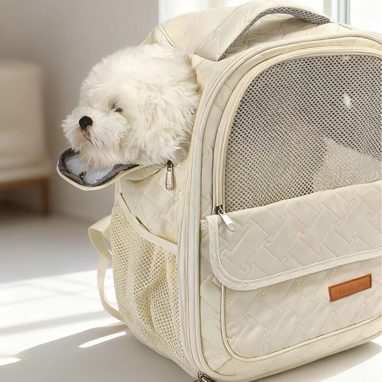 Pet Backpack