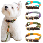 Adjustable Pet Leash and Collar