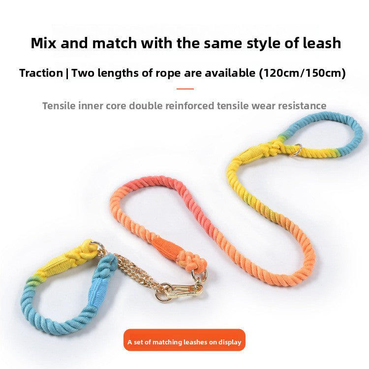 Woven Pet Dog Leash and Collar with Gold Accessories