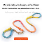 Woven Pet Dog Leash and Collar with Gold Accessories