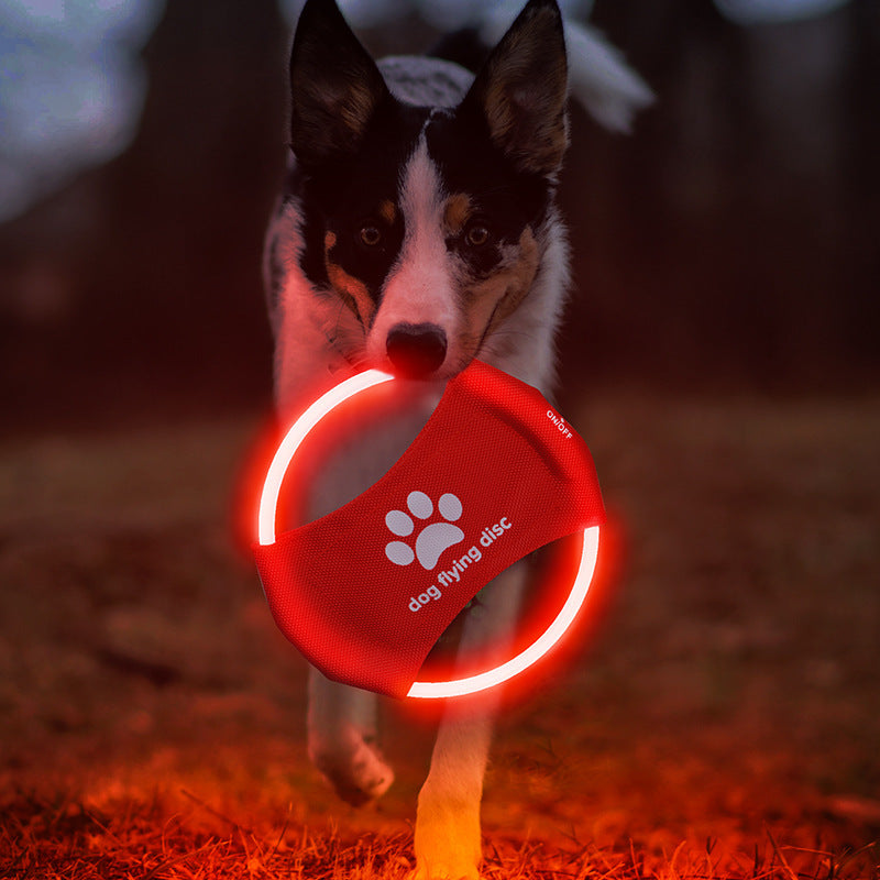 Pet toy frisbee