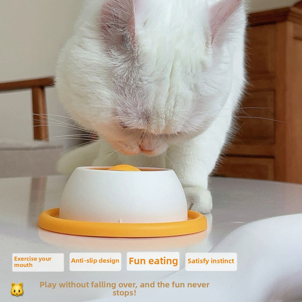 Pet Feeding Toy