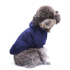 Winter Dog Hoodie