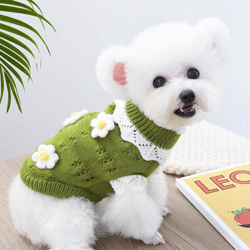 Pet Knitted Clothing
