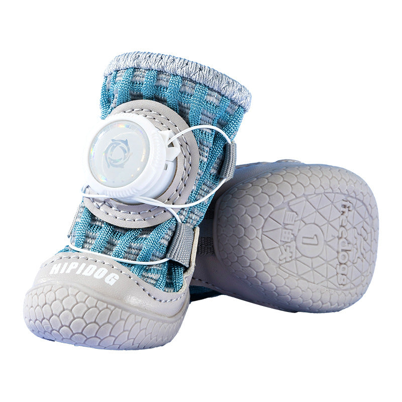 pet shoes