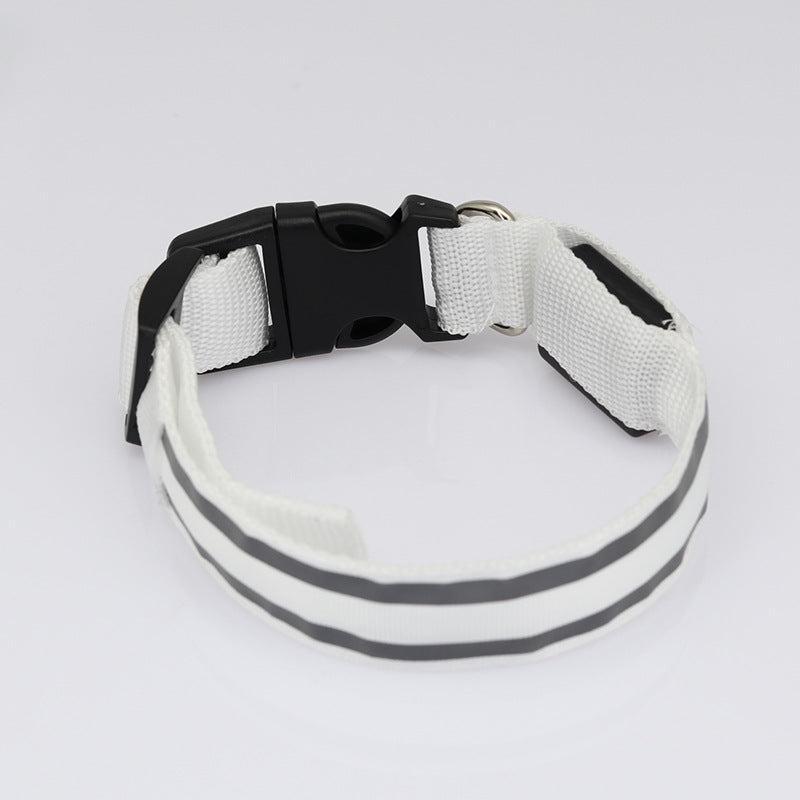 USB Rechargeable LED Reflective Dog Collar