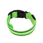 USB Rechargeable LED Reflective Dog Collar