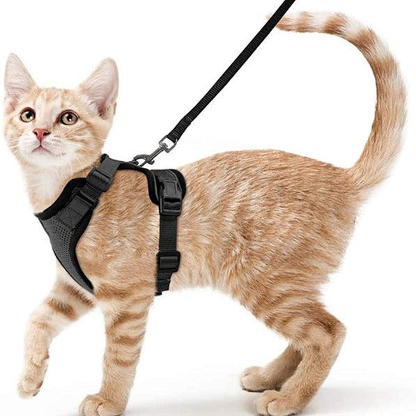 Adjustable Reflective Pet Harness and Leash
