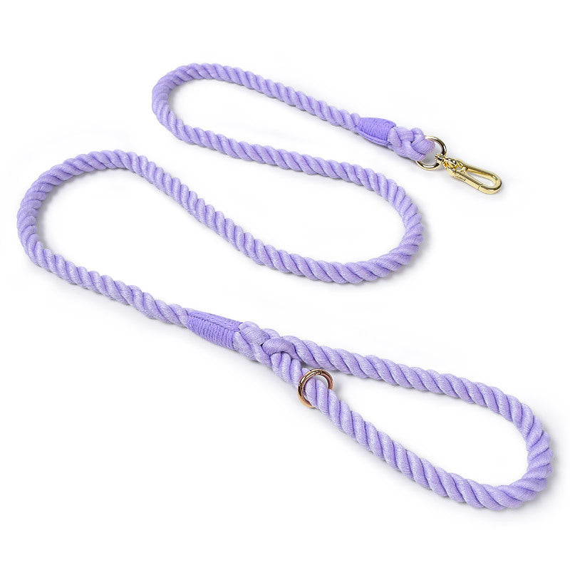 Woven Pet Dog Leash and Collar with Gold Accessories
