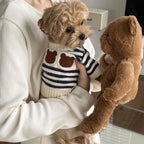 Pet sweater