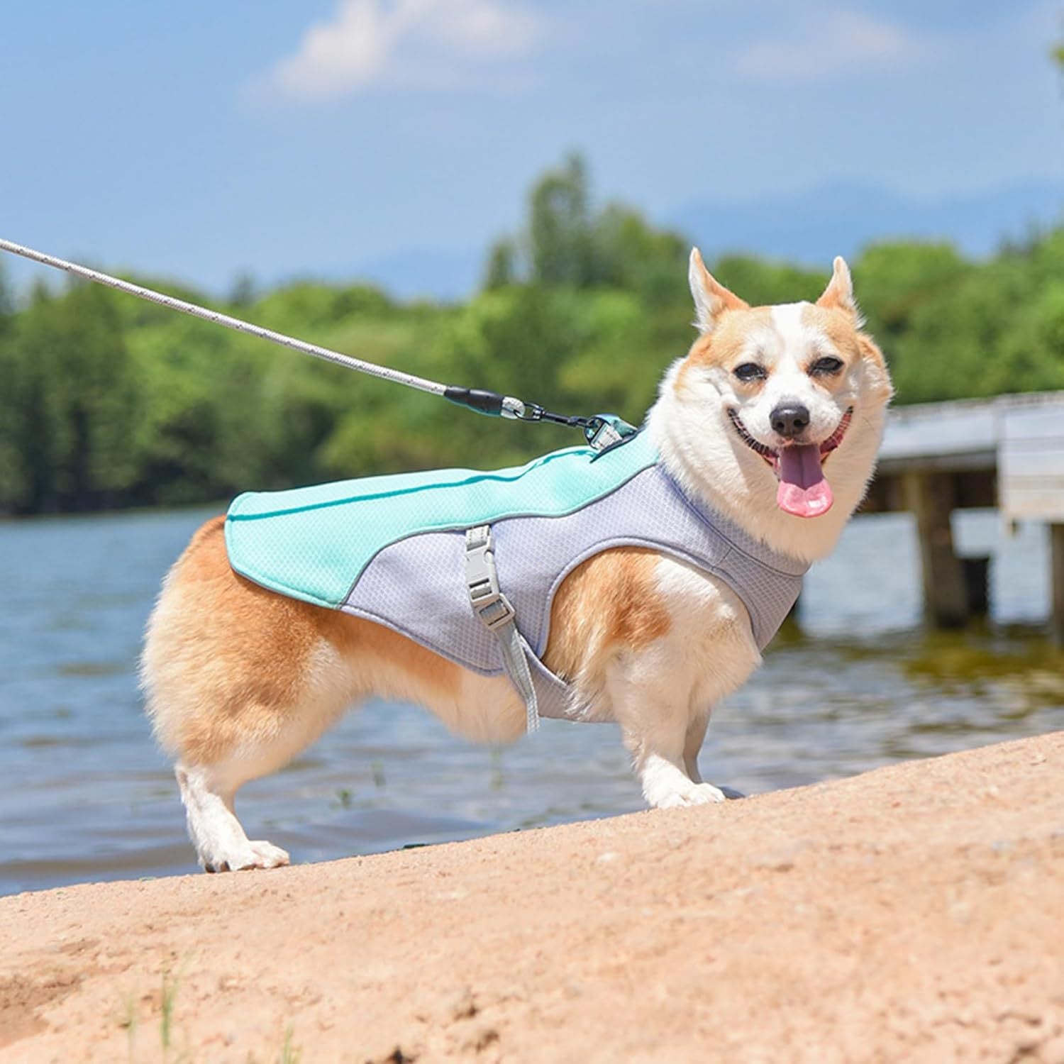 Summer Dog Cooling Vest Breathable Adjustable Pet Clothing