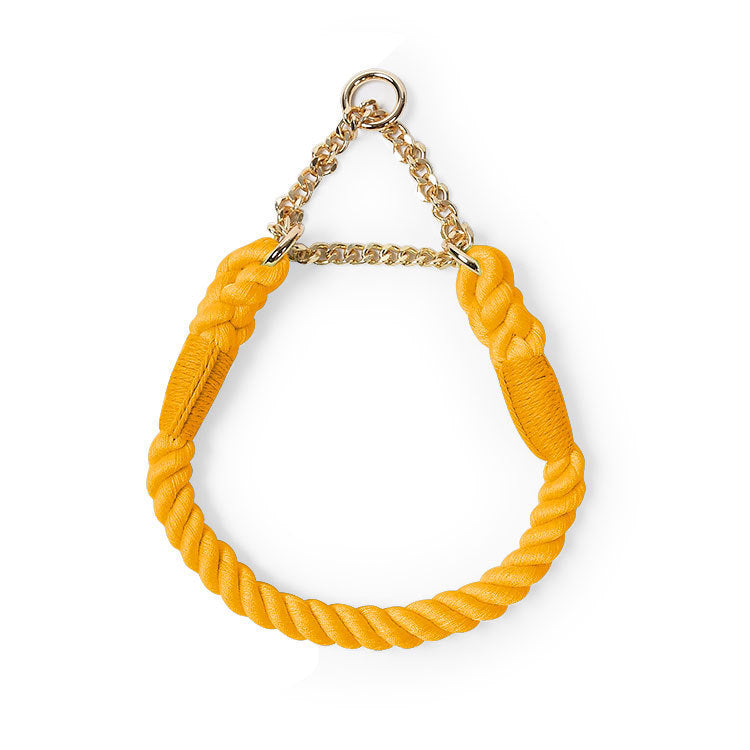 Woven Pet Dog Leash and Collar with Gold Accessories