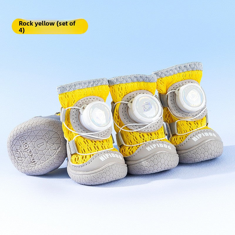 pet shoes