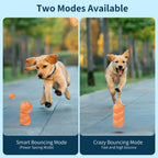 Rechargeable LED Pet Toy Ball