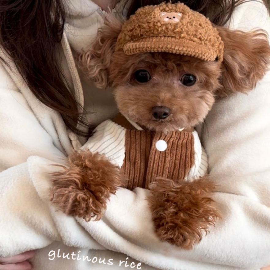 Pet Clothing Jacket