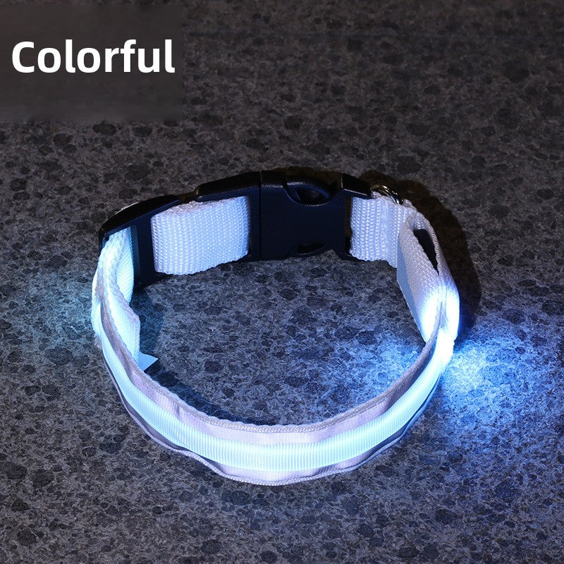 USB Rechargeable LED Reflective Dog Collar