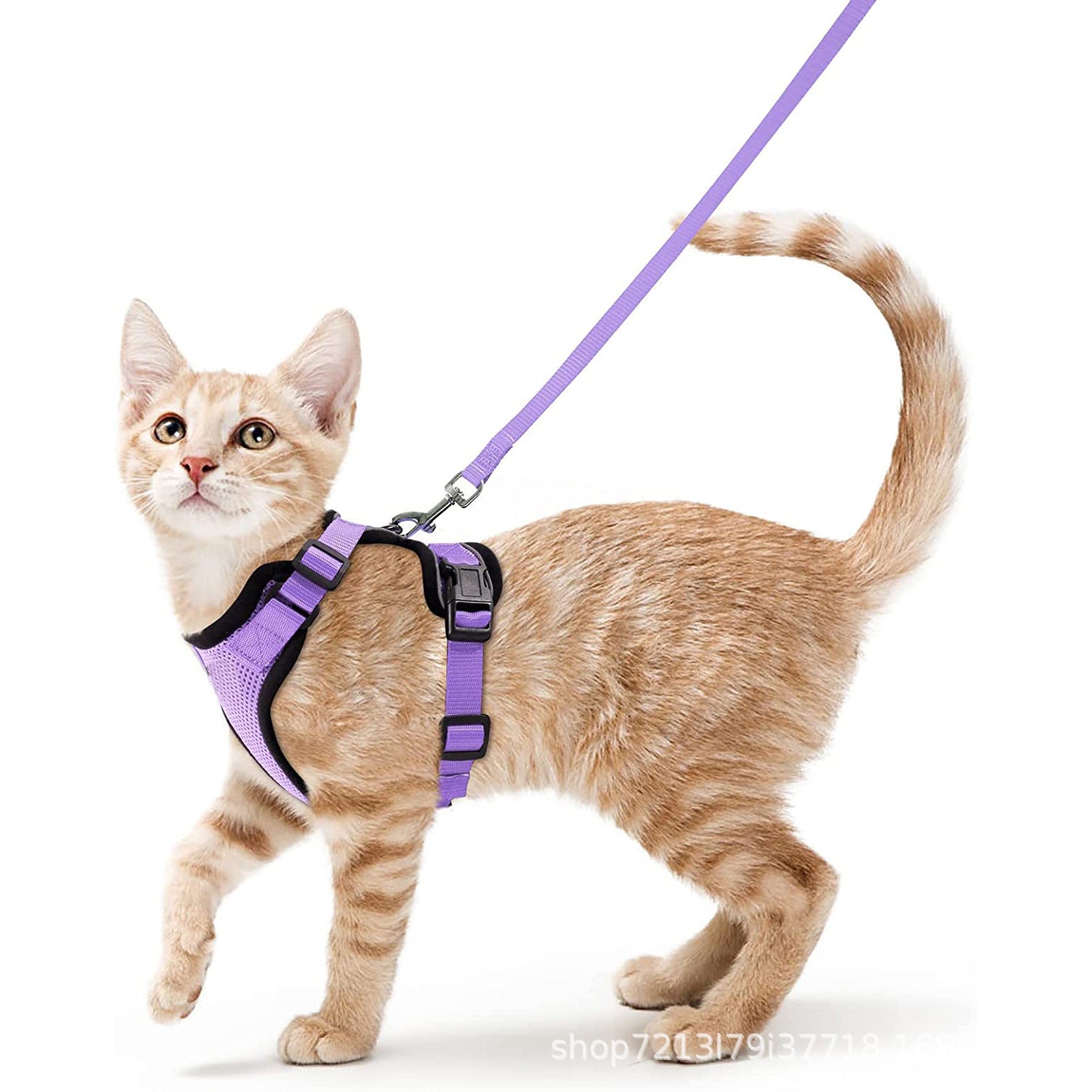 Adjustable Reflective Pet Harness and Leash