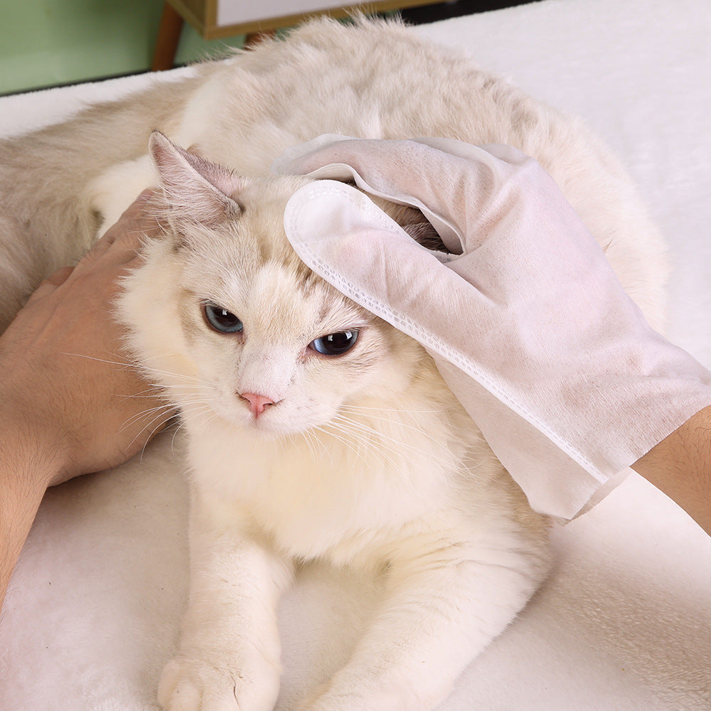 Disposable Pet Cleaning and Deodorizing Gloves