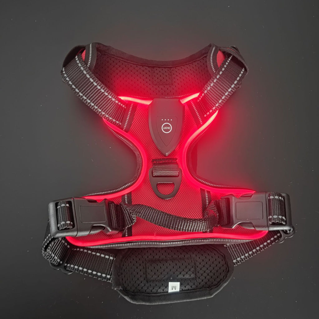 LED lighting pet harness leash LED lighting pet harness leash My store