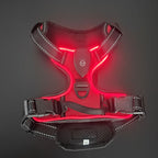 LED lighting pet harness leash LED lighting pet harness leash My store