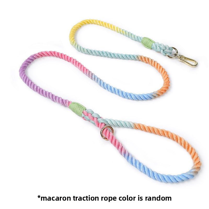 Woven Pet Dog Leash and Collar with Gold Accessories