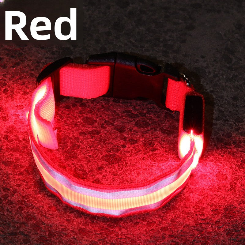 USB Rechargeable LED Reflective Dog Collar