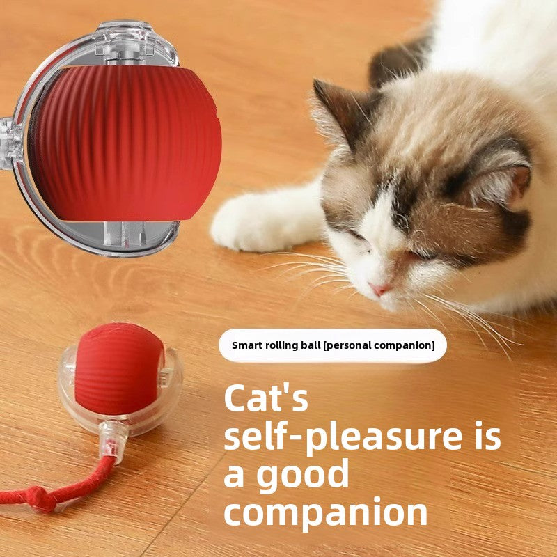 Electric Automatic Cat Teaser Ball with Adjustable Speed