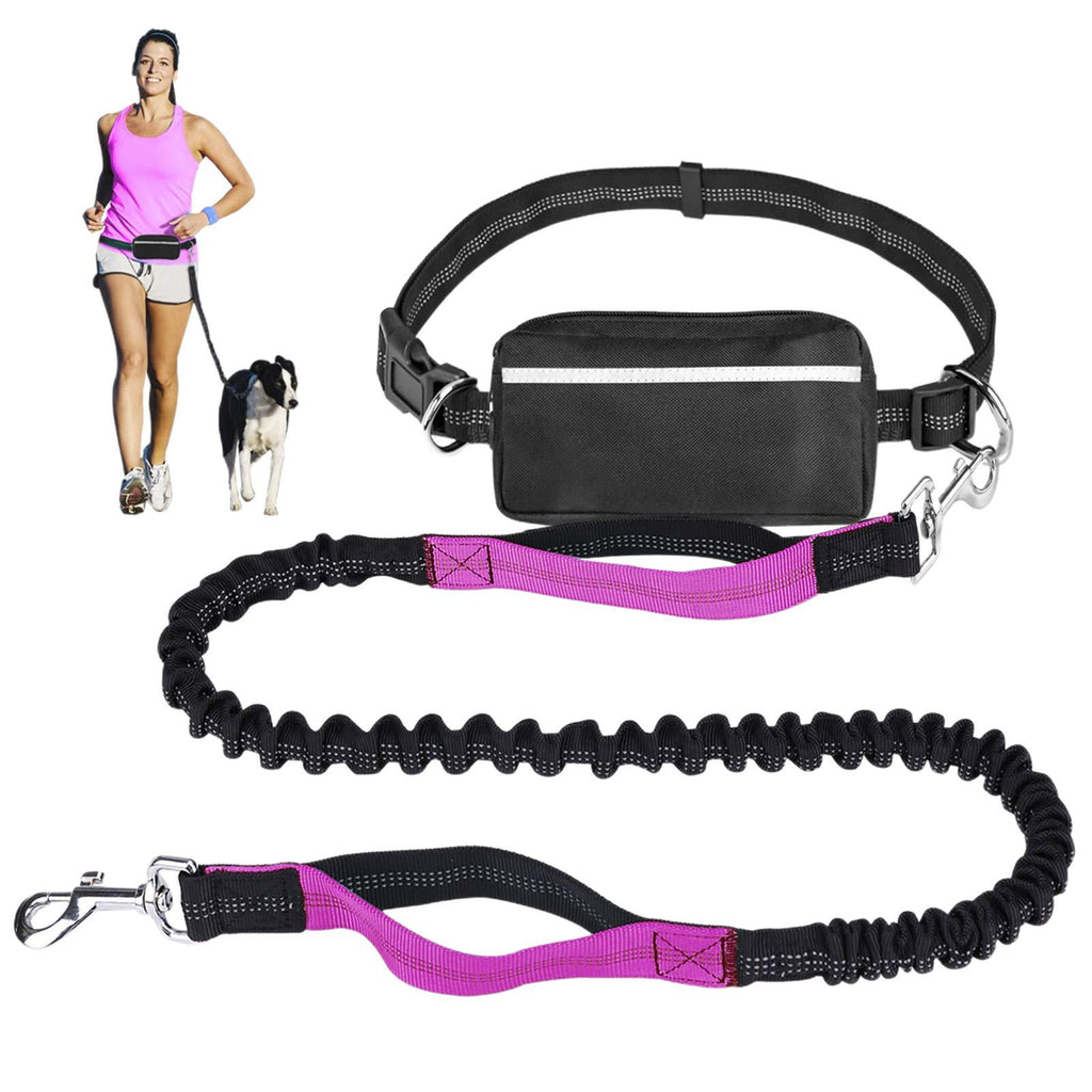 Hands-Free Adjustable Dog Leash with Zipper Pouch