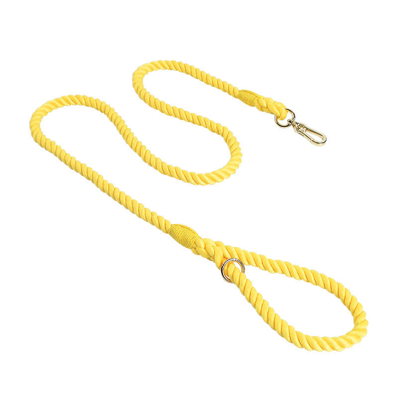 Woven Pet Dog Leash and Collar with Gold Accessories