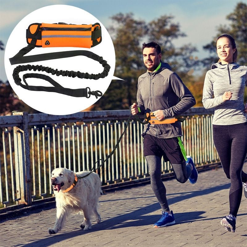Pet belt leash